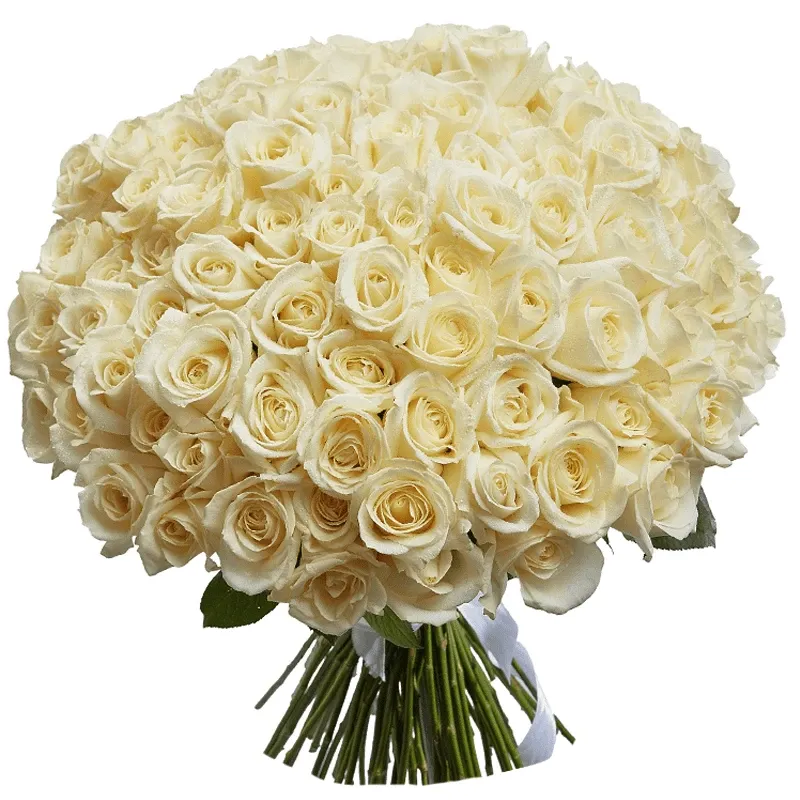 Роза - доставка цветов №1 в Иваново | Цветы и букеты с бесплатной доставкой